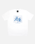 decay t-shirt
