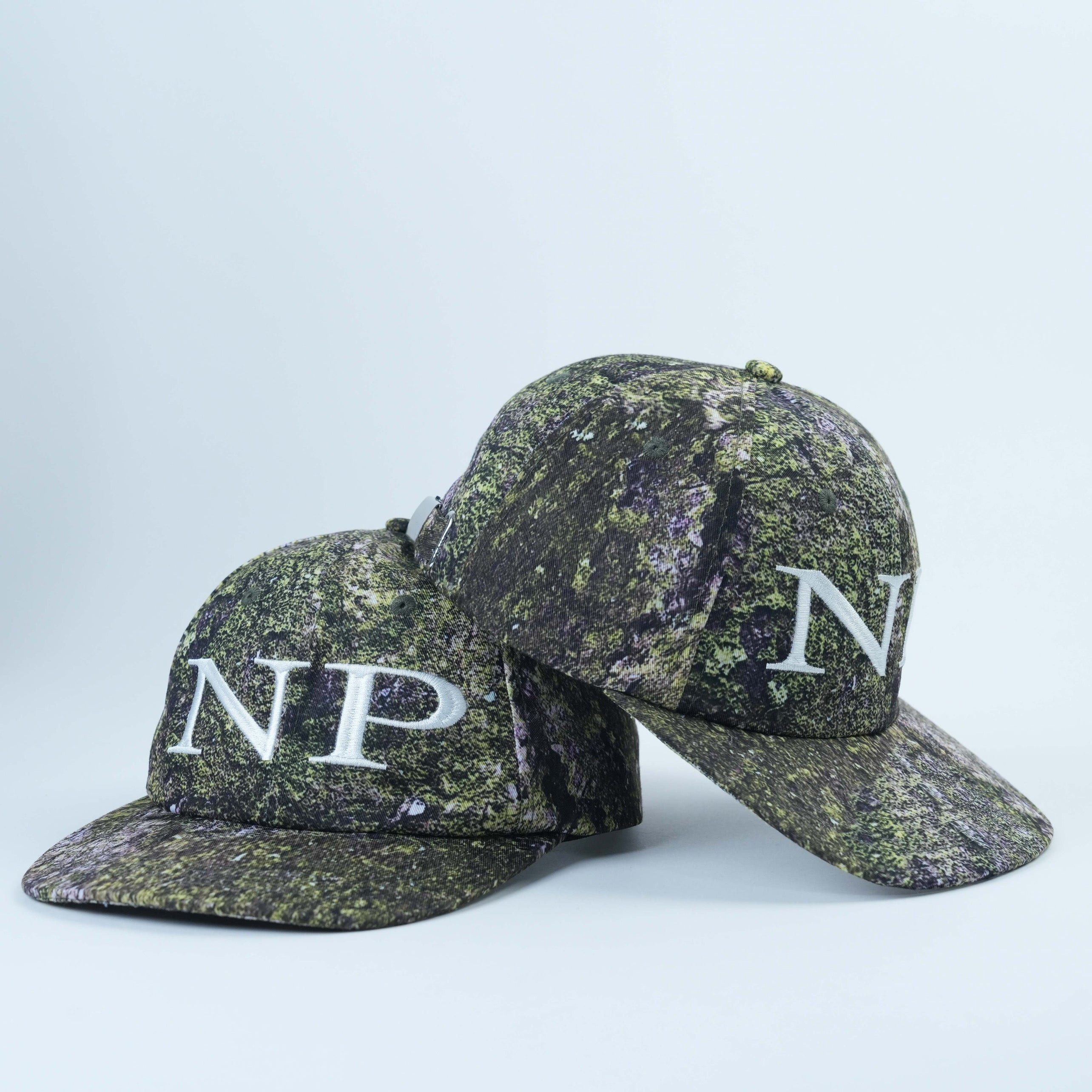 lichen six panel