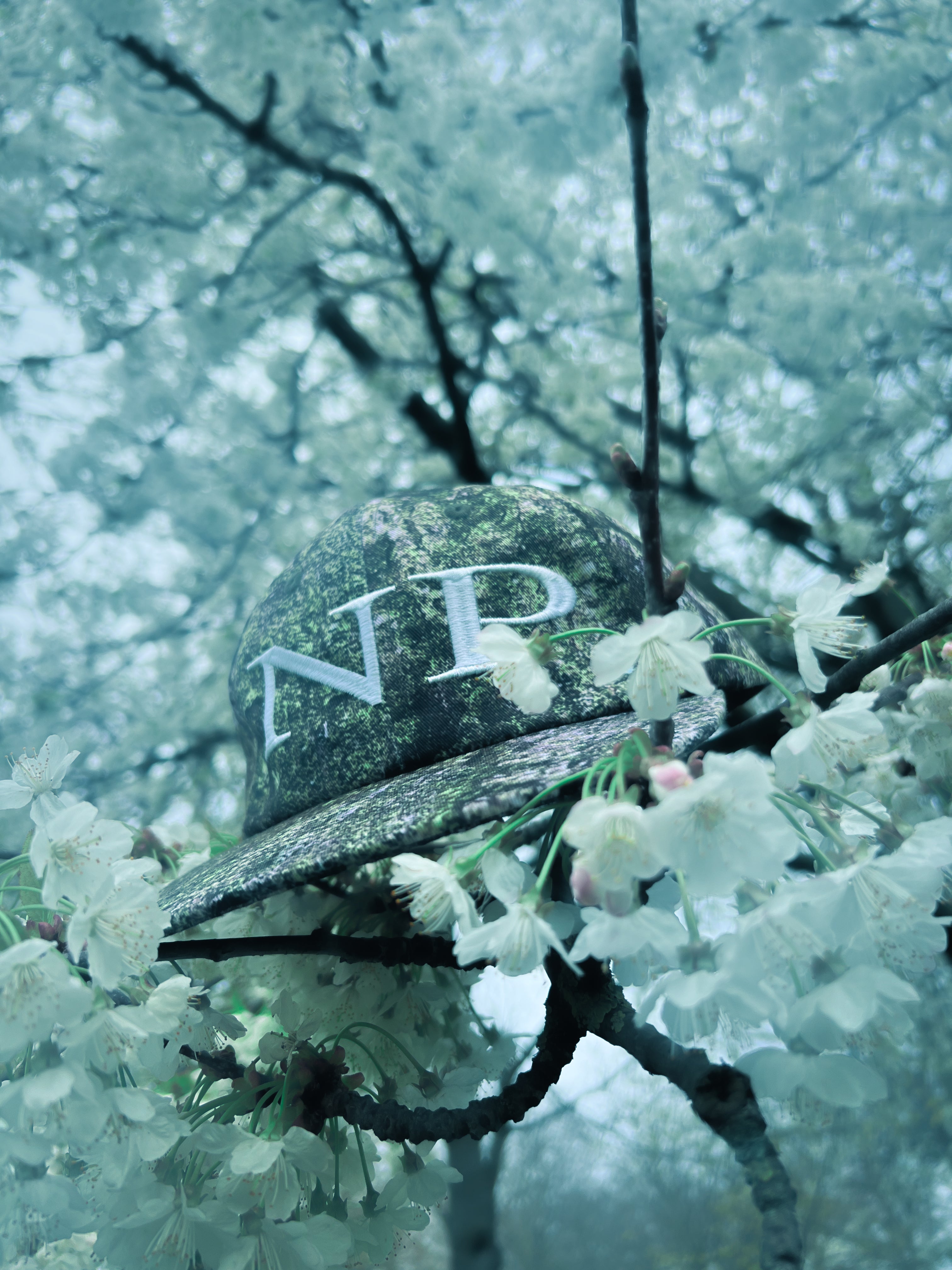 lichen six panel